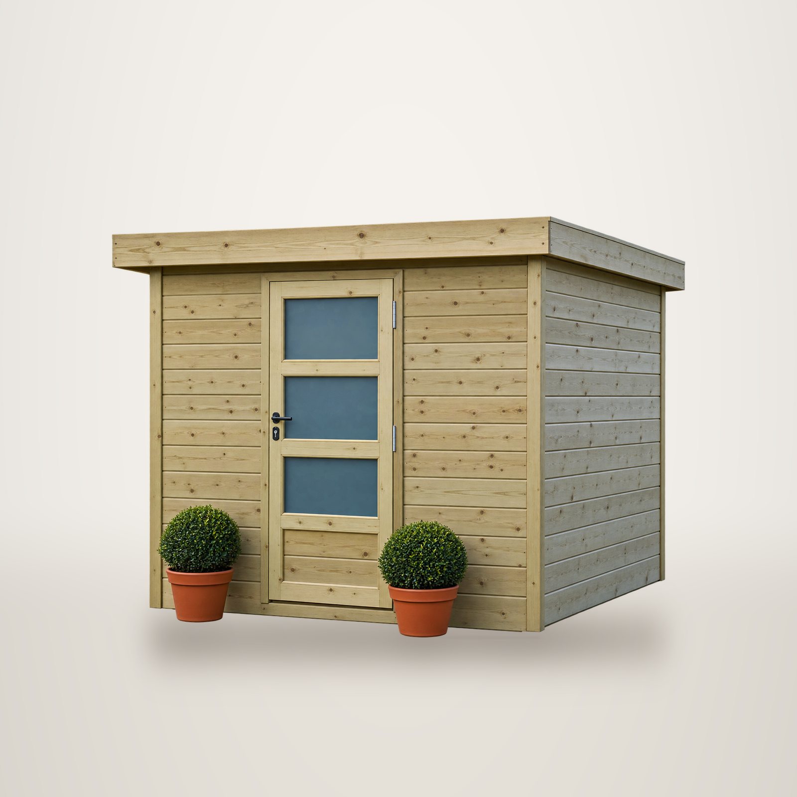 Abri de jardin moderne en planches de bois, toit plat et porte vitrée, encadré de deux buis en pots