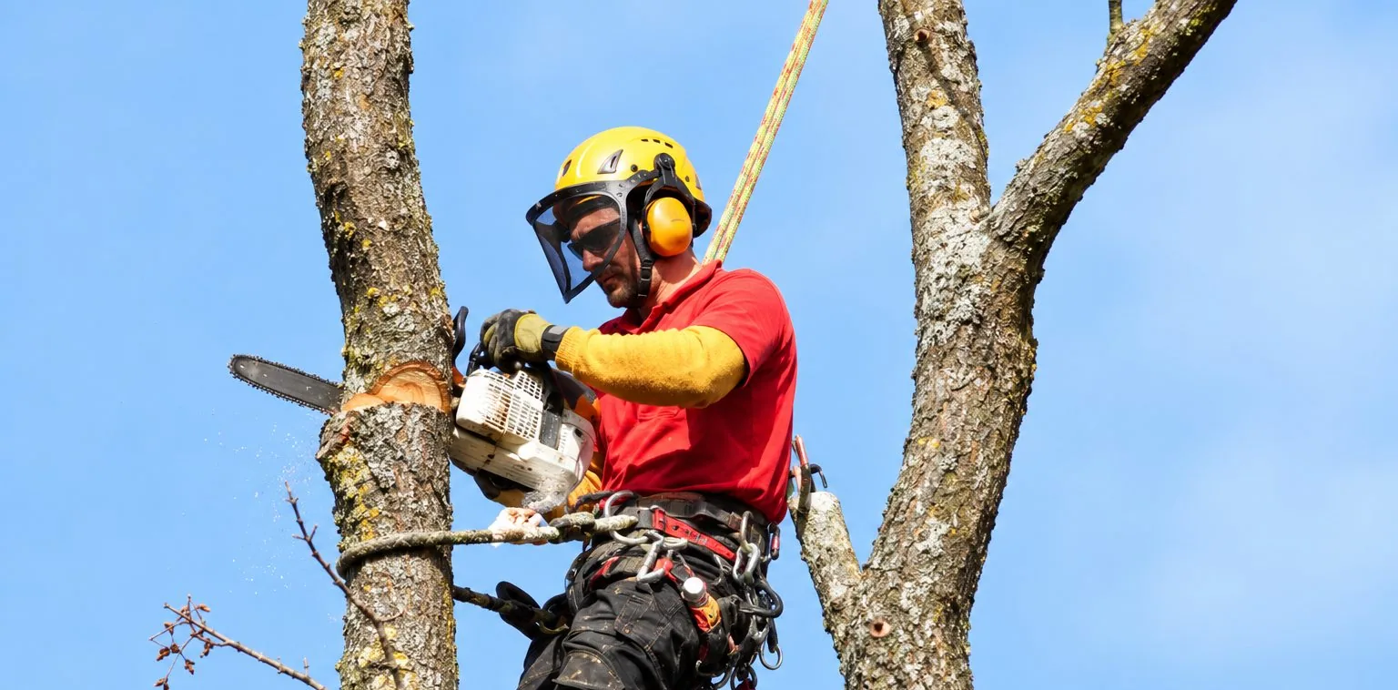 Un élagueur casqué, vêtu d'un haut rouge et harnaché, taille les branches d'un arbre contre un ciel bleu.