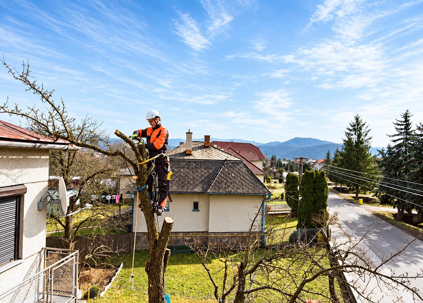 Un élagueur casqué, en tenue orange et attaché par un harnais, coupe le haut d'un tronc d'arbre dans un quartier résidentiel avec des montagnes au loin.